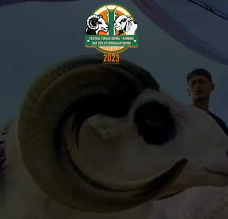 Sambut Hari Pahlawan, HPDKI Bogor Raya Gelar Festival Ternak dan SKDG