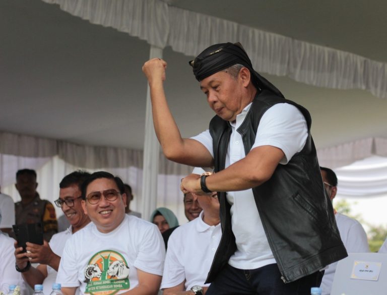Sekda: Festival Ternak dan Ketangkasan Domba Bisa Dorong Wisata Daerah