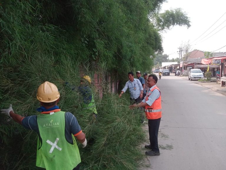 Pemdes Bantar Jati Gandeng CSR Indocement Bebersih Ranting Pohon Pinggir Jalan