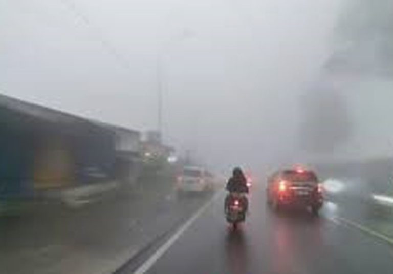 Prediksi BMKG, Cuaca Ekstrem Landa Kawasan Puncak Sampai Januari