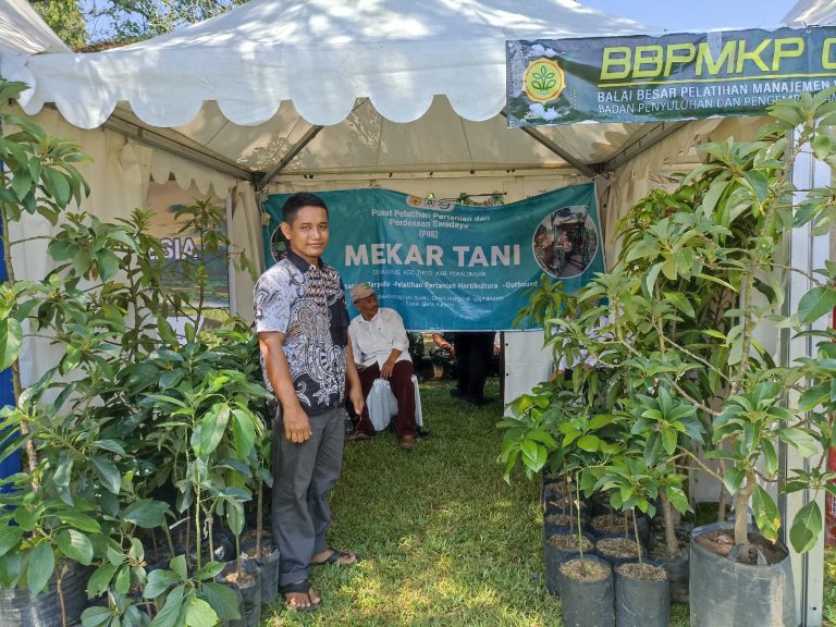 Partisipasi P4S Provinsi Jawa Tengah Meriahkan Pembinaan Penyuluh Pertanian, Petani dan Babinsa