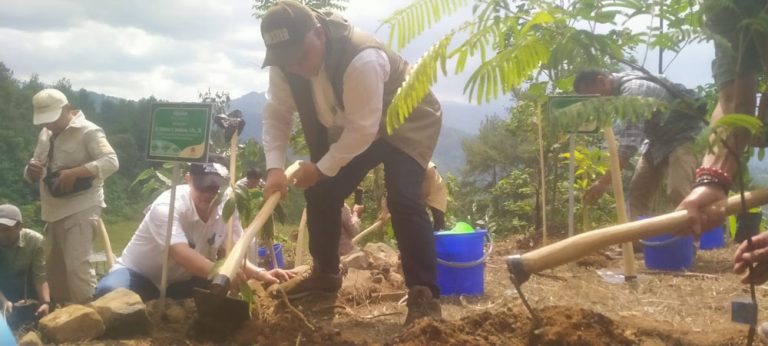 Balai Pengelolaan DAS Citarum-Ciliwung Rehabilitasi Hutan dan Lahan di Nanggung