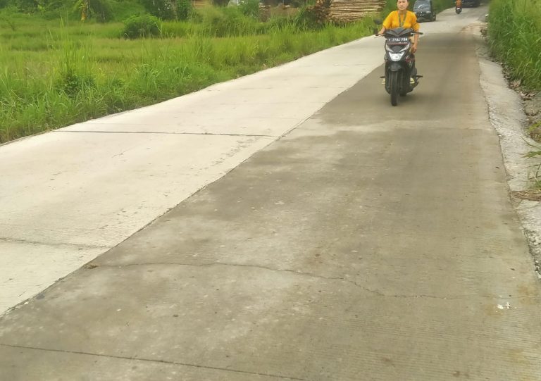 Dinas PUPR Secepatnya Sampaikan Kerusakan Jalan Panyaungan Nanggung Curugbitung