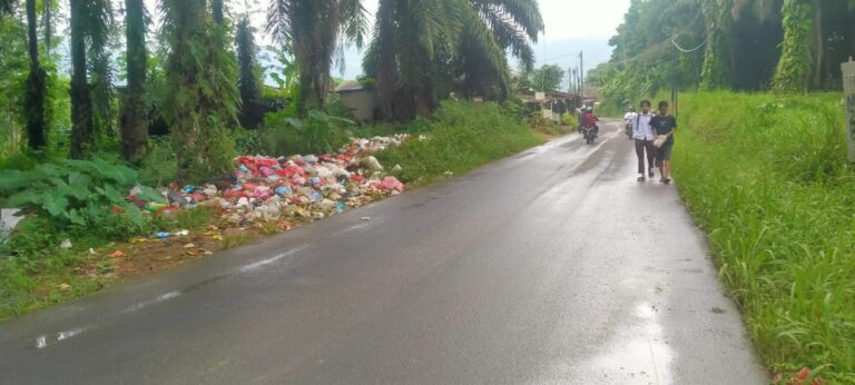 Warga Terganggu Tumpukan Sampah di Jalan Raya Cigudeg