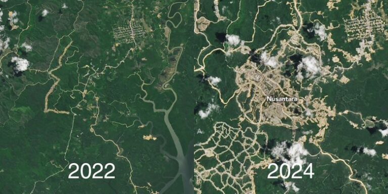 Rencanakan Kota Dengan 75% Hutan, Nasa Unggah Foto Perbedaan IKN