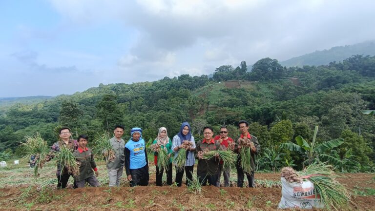 Petani Majalengka Jaga Pasokan Bawang Merah Jelang Lebaran