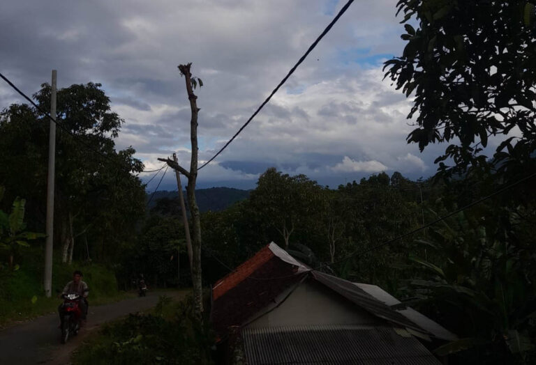 PLN ULP Leuwiliang Gercep Respons Laporan Warga Pangkas Pohon yang Tumbang     