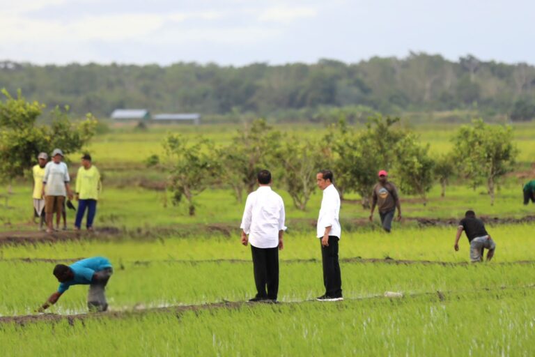 Presiden Jokowi dan Ibu Iriana Tinjau Simulasi Drone Tabur Pupuk di Papua Selatan