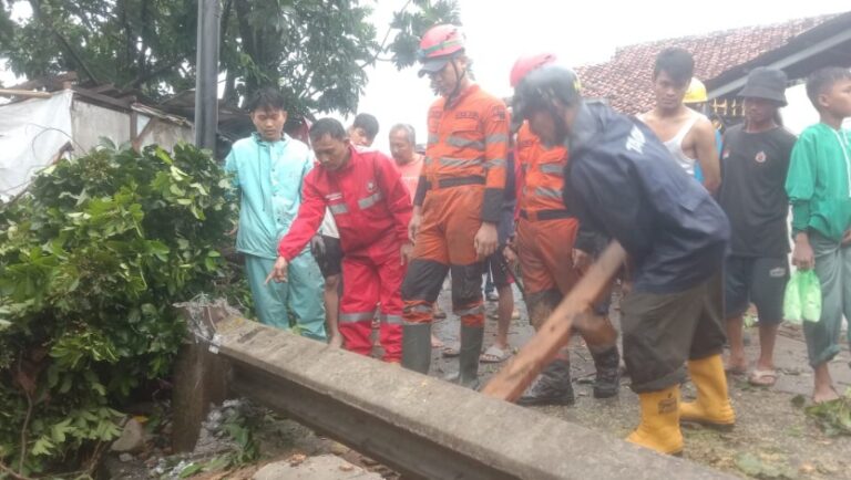 Puting Beliung Terjang Kampung Jalan Baru, Tiang Listrik Hingga Pohon Ambruk Timpa Rumah Warga