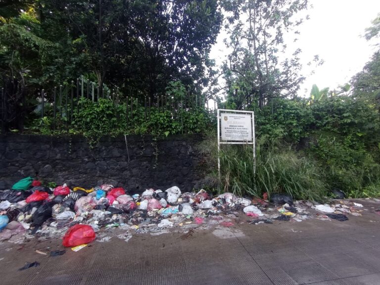 Parah! Tumpukan Sampah Liar Menggunung di Jalan Tangkil Desa Sukaluyu