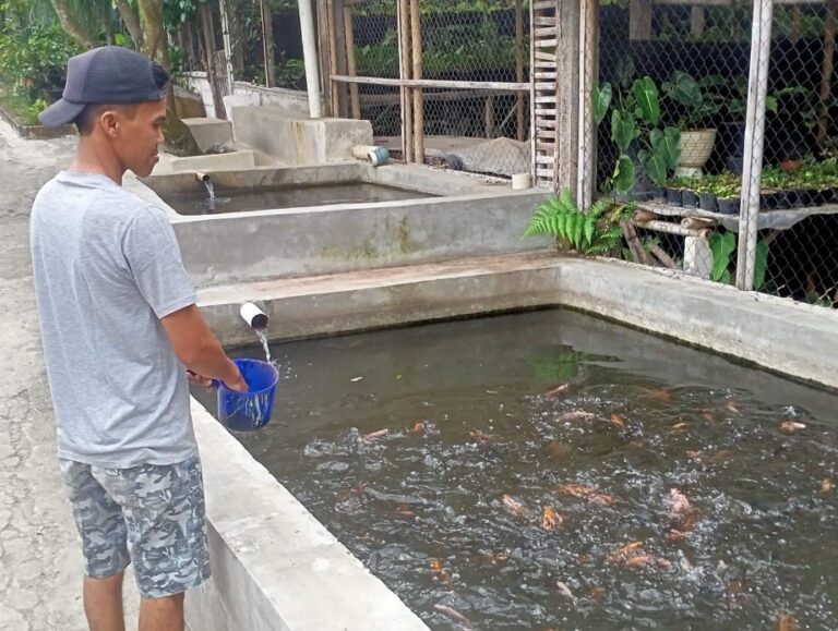 Dongkrak Perekonomian Masyarakat Desa Sukaharja Melalui Program Ketahanan Pangan