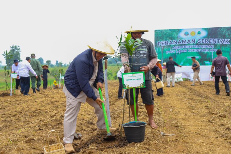 Perkuat Ketahanan Pangan, Kementan Bersinergi dengan Kemenhut Tanam Serentak Agroforestri Pangan di Indramayu