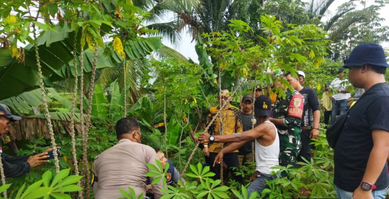 Mayat Pria Tanpa Identitas Ditemukan di Kebun Singkong