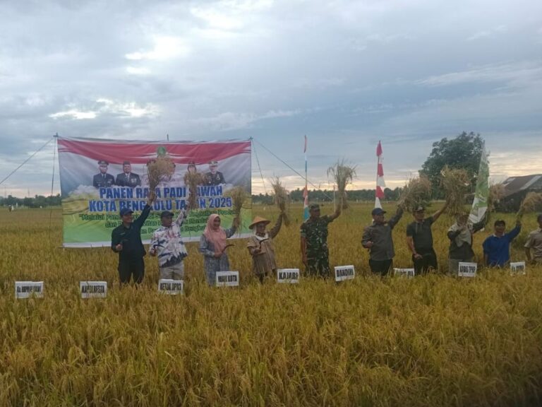 Panen Raya di Bengkulu, Kementan Pastikan Dukungan Nyata untuk Petani