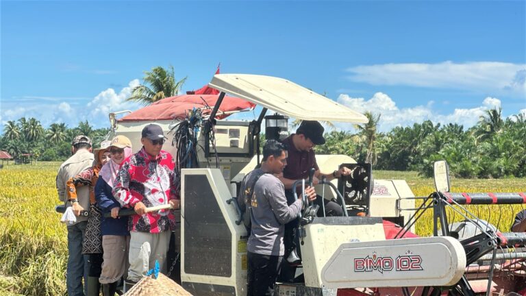 Perkuat Ketahanan Pangan Nasional, Kementan Gelar Panen Raya di Kabupaten Bengkulu Utara