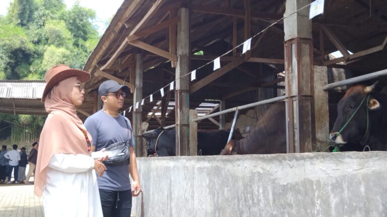 SPG Farm Juragan Tampil Nyentrik Ala Koboy