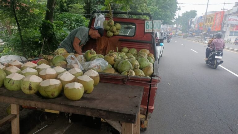 Kelapa Muda, Minuman Segar Penuh Manfaat dan menyegarkan dikala panas