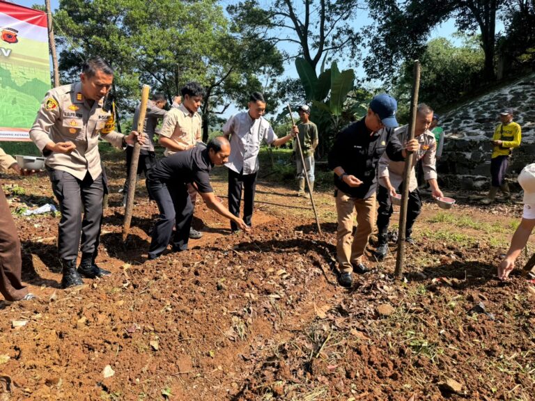 Dukung Ketahanan Pangan, Kapolsek Nanggung Bersama Unsur Lainnya Tanam Jagung Hibrida