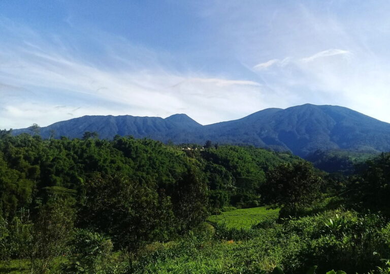 AMBS, KLH dan Pemerintah Daerah Akan Tanam 10.000 Pohon di Puncak