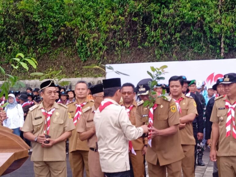 Pohon Penghijauan Akan Diawasi