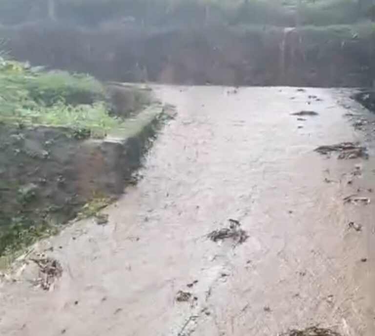 Akibat Aktivitas Cafe Daun, Warga Pasirpanjang Kebanjiran