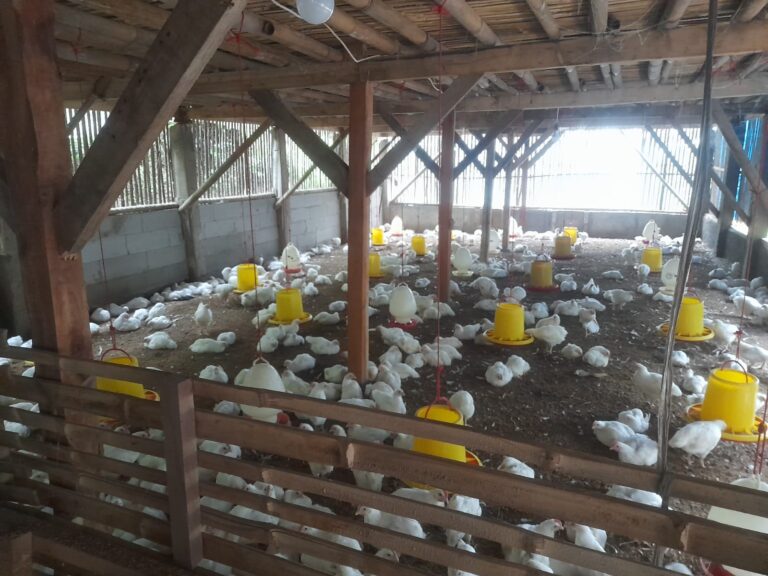 Bumdes Sukakarya Dialokasikan Untuk Penanganan Stunting