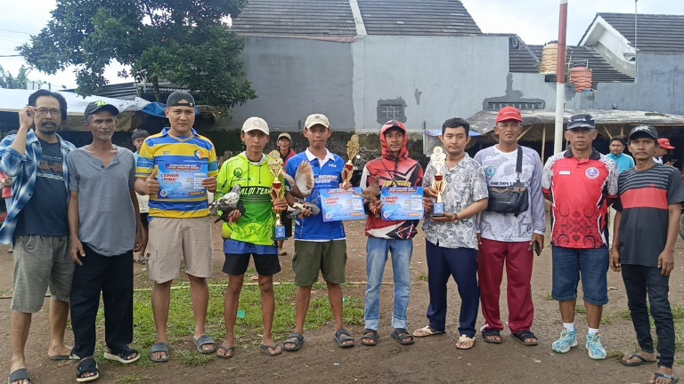 Burung Kontes Merpati di Ciampea Dihargai Puluhan Juta