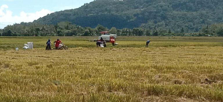 NTP Cetak Rekor Tahun 2025, Tembus 125,35