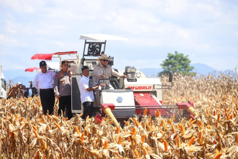 BPS: Produksi Jagung 2025 Naik 6,44%, Tembus 16,11 Juta Ton