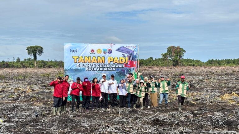 Tanam Padi Serentak 19 Provinsi, Kementan Dorong Optimalisasi Lahan Cetak Sawah Rakyat