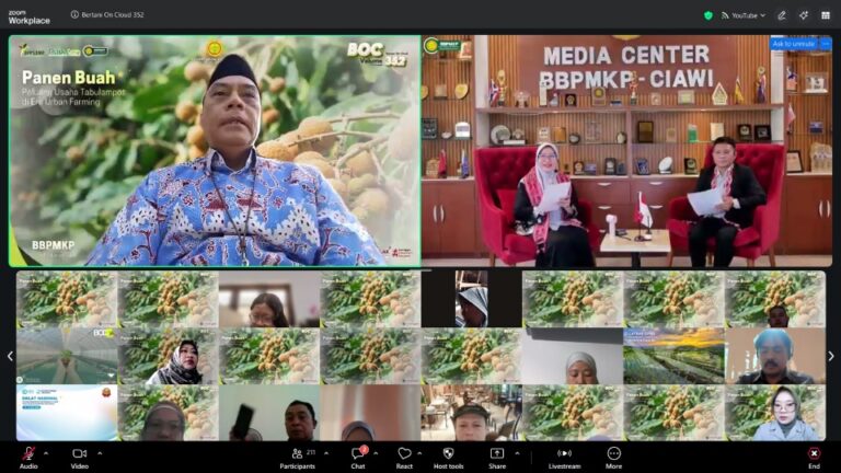 Urban Farming Kian Diminati, Kementan Dorong Peluang Usaha Tabulampot dari Pekarangan Rumah