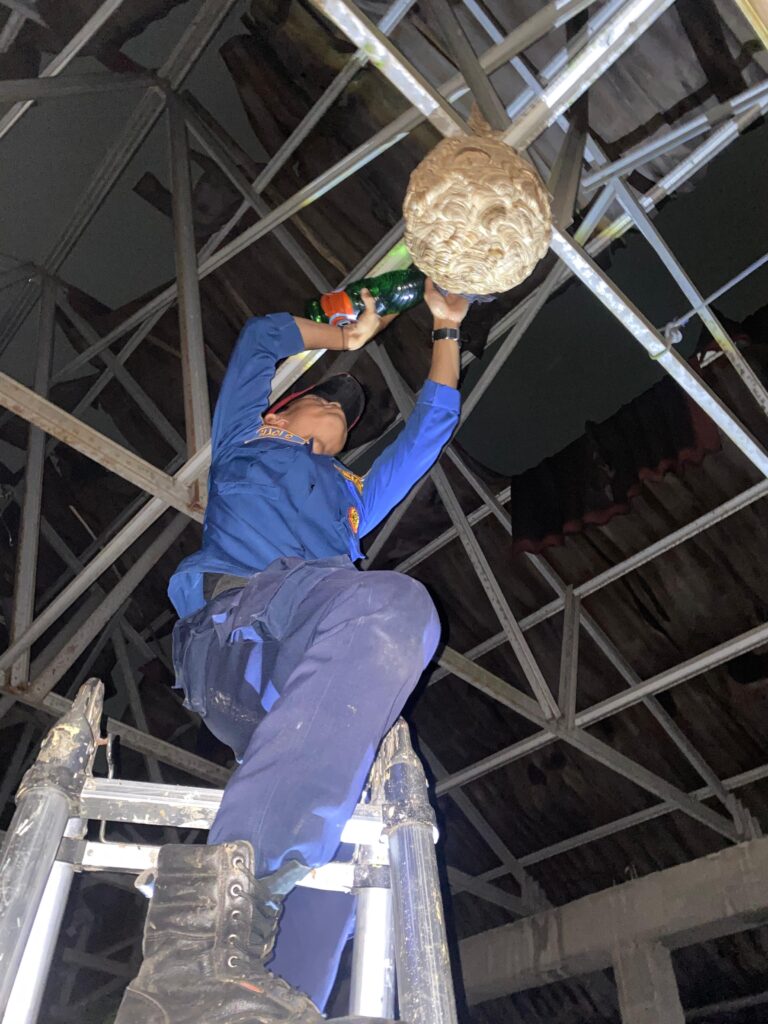 Damkar Evakuasi Sarang Tawon Usai Tiga Warga Terkena Sengatan
