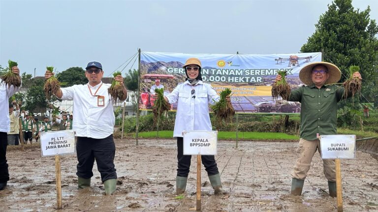 Kementan Percepat Tanam Oplah dan CSR untuk Jaga Produksi Pangan