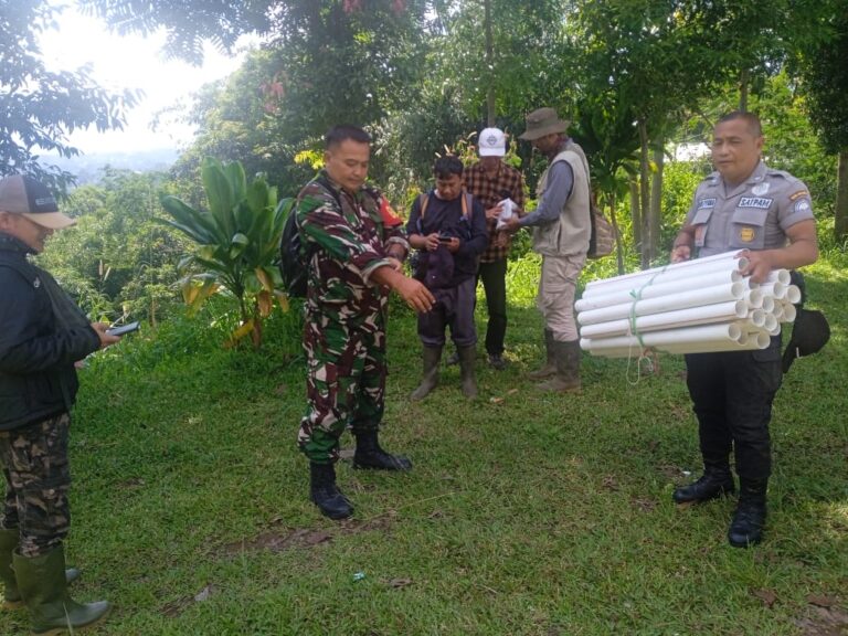 PTPN Periksa Patok Batas Tanah