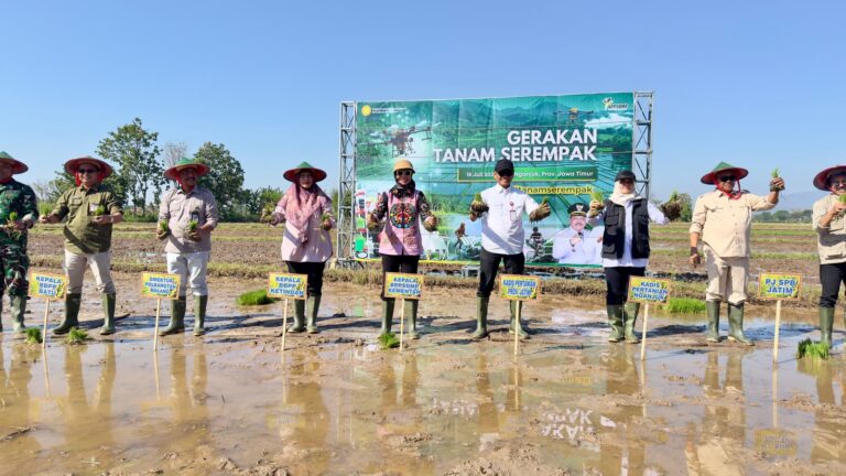 Genjot Produksi Pangan, Kementan Gelar Tanam Serentak di 26 Provinsi
