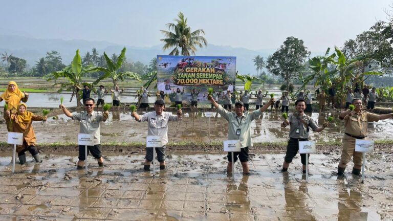 Kementan Percepat Tanam Padi Serempak di Jabar, Cianjur Sumbang 10 Hektar