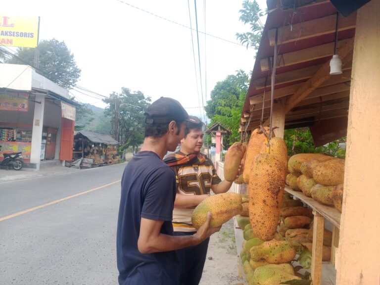 Harga Relatif Terjangkau, Buah Cempedak di Bunar Cukup Laris